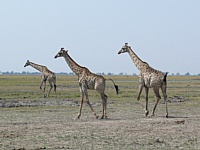    2010 .