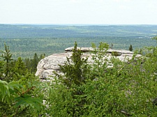   2010 .